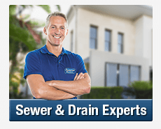 Sewer & Drain Experts Petersham